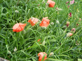 you can watch endlessly