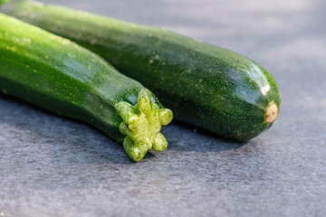 Zwei Zucchini (Detail)