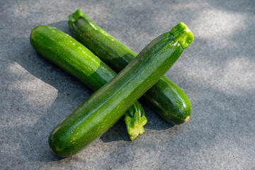 Drei Bio-Zucchini auf grauer Steinplatte