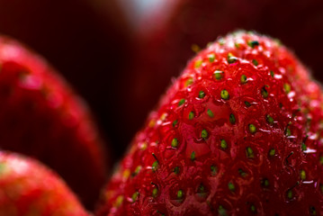 Makro frische Erdbeere