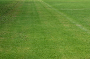 Obraz premium football field Is a green lawn That has been beautifully trimmed