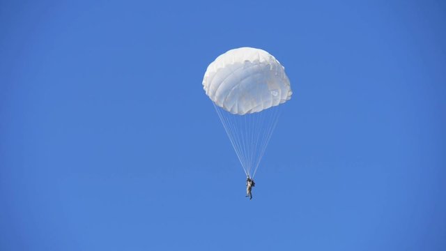 One brave paratrooper swooping down on white round parachutes in a blue sky 