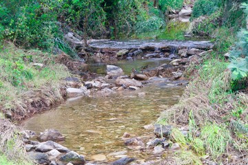 following the bed of the stream