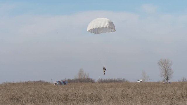 Professional man swooping and landing on a white round parachute in autumn  