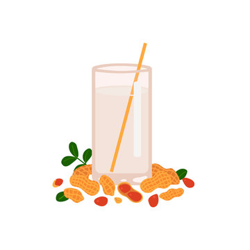 Peanut milk in a glass on a white background. Walnut shell. Vector illustration in freehand drawn style.