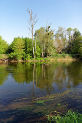 Obraz premium Brzeg Loary w pobliżu wioski Beaugency