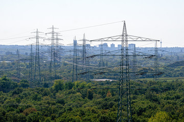 Fototapeta premium Strommasten im Ruhrgebiet