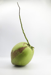 coconut with white background