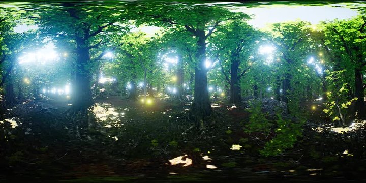 VR 360 firefly flying in green forest