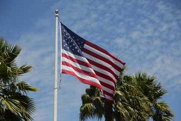   the waving flag in the sky