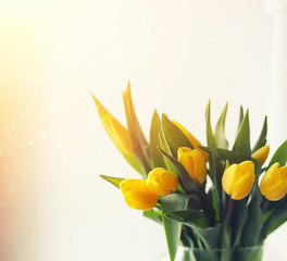 A bouquet of red tulips in a vase on the windowsill. A gift for a woman's day from red tulip flowers. Beautiful red flowers in a vase by window.