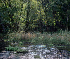 River in the forest during autumn