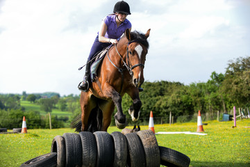 Woman jumping her horse over some tyres in a field. 