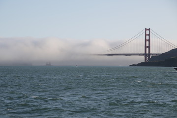 san francisco the famous  golden bridge