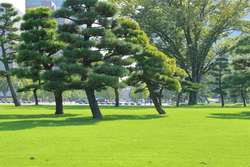東京駅丸の内皇居江戸城
