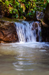 Obraz premium Small creek in the Carpathian mountains inthe autumn season