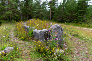 The famous stone ship called "Tjelvar's grave" on the island of Gotland. The stone ship is from the late Bronze Age (1100-500 BC).