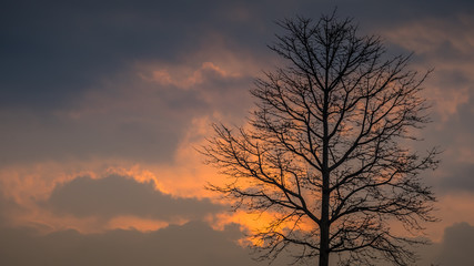 Sunset Silhouette