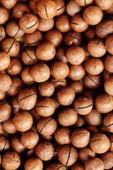 Macadamia nuts background