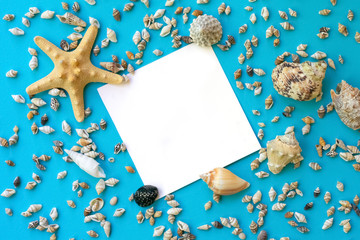 White square blank note for your text on blue background with seashells and starfish