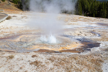 Lower geyser basin