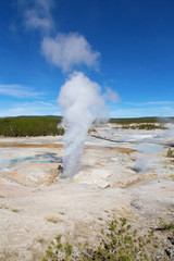 Norris geyser basin