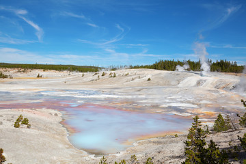 Norris geyser basin