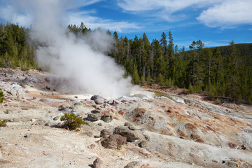 Norris geyser basin
