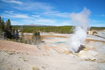 Norris geyser basin