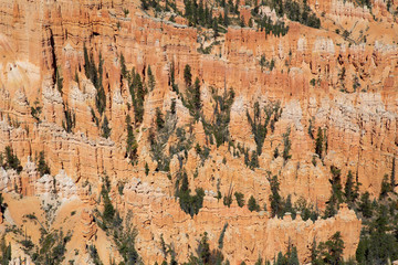 Bryce canyon