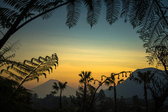 Sunset SIlhouette