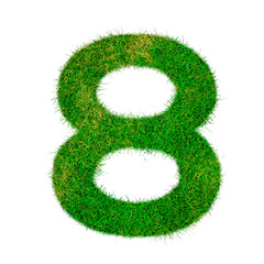 Number 8 eight made of grass - aklphabet green environment nature