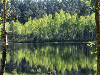 Fototapeta na wymiar Mazurski Park Krajobrazowy rezerwat Zakret w którym wystepują których występują tzw. wyspy pływające.
