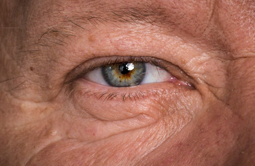 macro close-up shot of human eyes