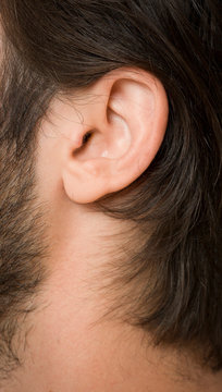 macro close-up shot of human ear
