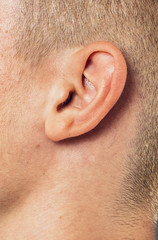 close-up shot of human ear 