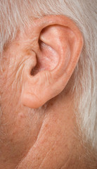 macro close-up shot of human ear
