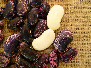 Pink and black ripe beans on old burlap background. Variety of protein rich colorful fresh raw beans laying on sackcloth. Selective soft focus, close up, flat lay.