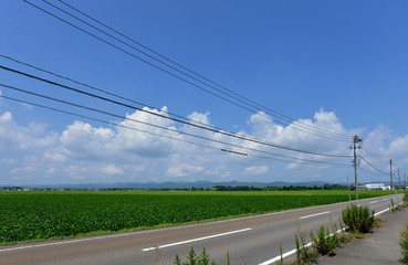 Fototapeta premium 田舎の風景（夏の長岡）