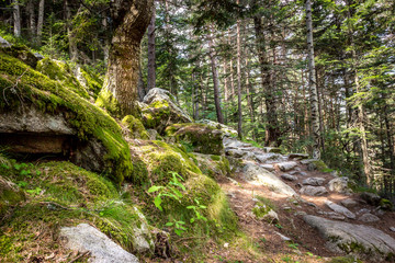 Madriu Perafita Claror Valley National Park and UNESCO World Heritage Site, Andorra