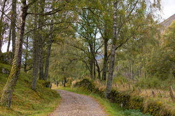 Obraz premium Path in Scottish Highlands