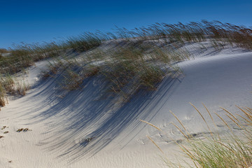 White dune (Sao Jacinto Natural reserve, Aveiro, Portugal)