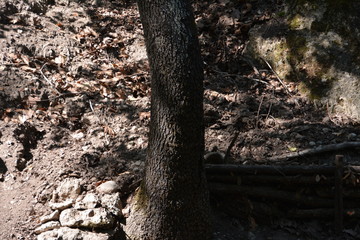 Butterfly valley, Petaloudes, Rhodes island, Greece.