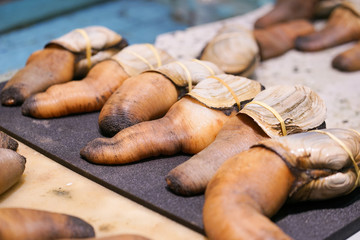 Elephant trunk clam. A soft focus on the elephant trunk clams selling at the seafood fresh market.