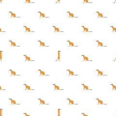 Vector seamless pattern with meerkats on white background.