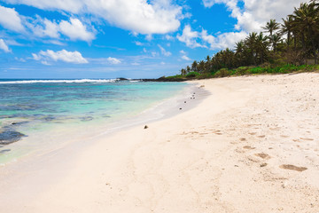 Fototapeta na wymiar Tropical wild beach with transparent ocean and blue sky of Mauritius