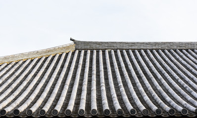 I traveled to Japan's Izu Islands.