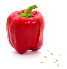 Pepper red isolated.
