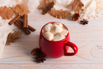 Red mug with cocoa and marshmallows, on a background of a scarf and dry leaves. Autumn mood, a warming drink.