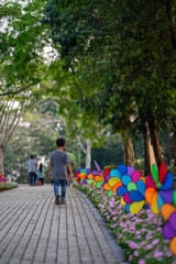 Fototapeta na wymiar Colourful rainbow pinwheel in the park.